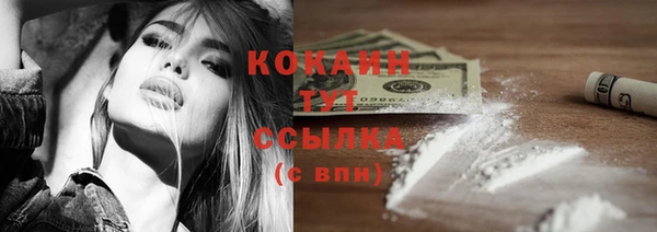 спайс Карпинск