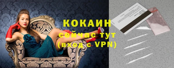 спайс Карпинск