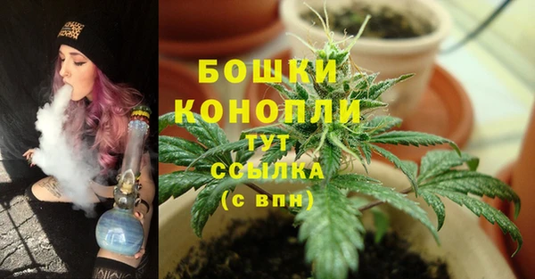 спиды Касимов