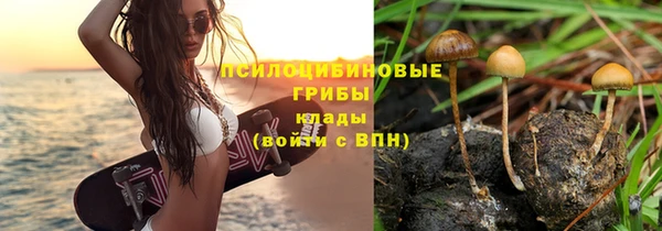 спайс Карпинск