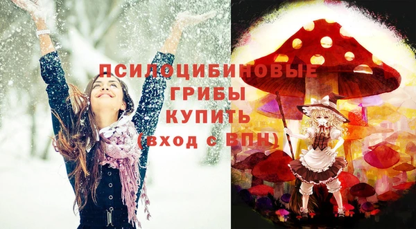 спайс Карпинск