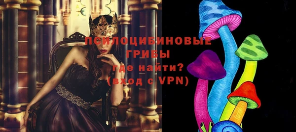 спиды Касимов