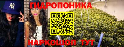 дурь Гусиноозёрск
