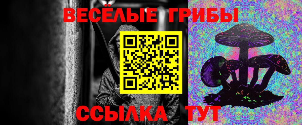 Псилоцибиновые грибы мицелий Копейск