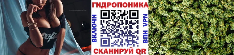 Марихуана гибрид  где можно купить наркотик  Копейск 